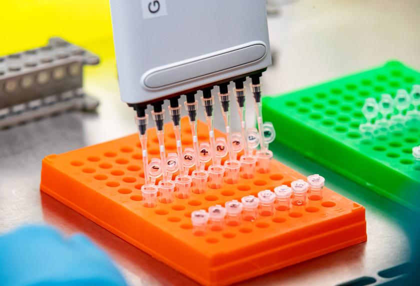 A pipette with eight tips is filling test tubes that are standing on an orange platform.