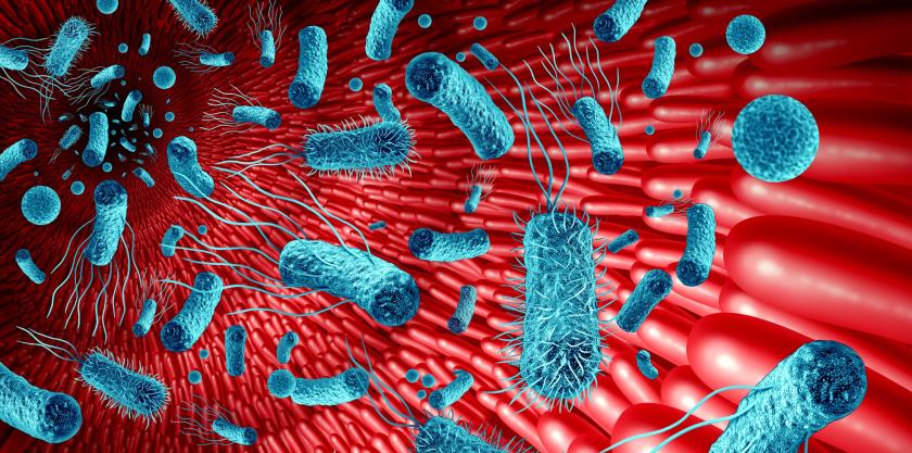 mikrobiomi_suolistossa_microbiome_in_the_gut.jpg